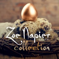 Zoe Napier Group