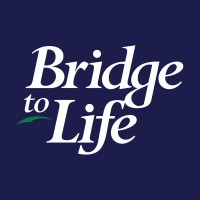 Bridge to Life