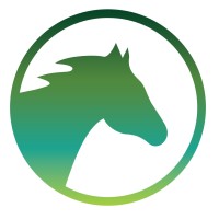 Dark Horse Consulting Group