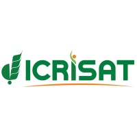 ICRISAT Seed (Vital Seeds)