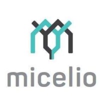 Micelio