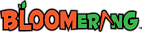 Bloomerang