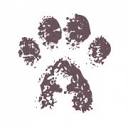 4paws logo