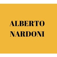 Albertonardoni logo