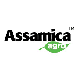 assamicaagro.in logo