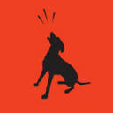 Barking Up the Wrong Tree