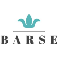 Barse Jewelry logo
