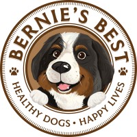 Bernies logo