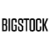 Bigstockphoto logo