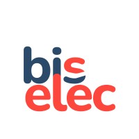 Bis Electric logo