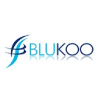 Blukoo logo