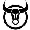 Bullcaptain logo