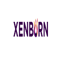 Buyxenburn logo