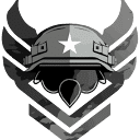 CAMO DIVISION logo