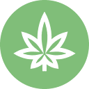 cbdbuds logo