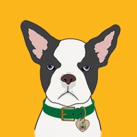 CBD Dog Health logo