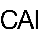 Contemporary Art Issue (CAI)