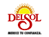 DelSol logo