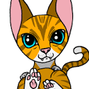 designskalsjatten.se logo