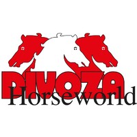 Divoza logo