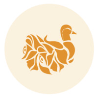 Duck & Rose logo