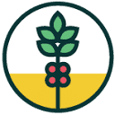 Evergreen Botanicals logo