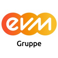 EVM logo