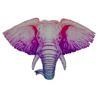 Exoticelephant logo