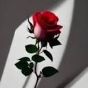 Flirtie Official logo