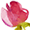 floristerisverige.se logo