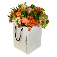 Flowers & Plants Co. logo