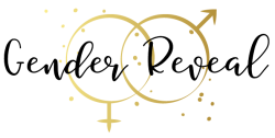 genderreveal.nl logo