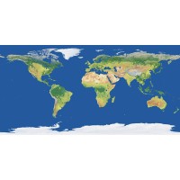 Global Market Placee logo