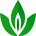 Greenfolhas logo