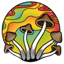 Magictruffels logo