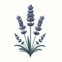 Mariem Lavanda logo