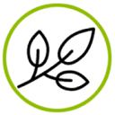 Mi Salud Integral logo