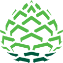 Pineconeresearch logo
