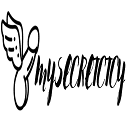 Mysecretcy logo