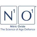 N1O1 logo