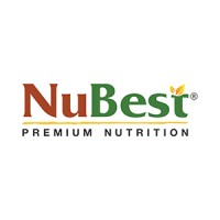 Nubest logo