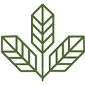 OG Seeds logo