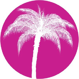 Palmera Beachwear logo