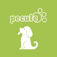 Pecute logo