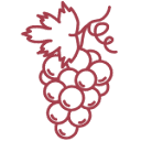 Pillnitzer Tafelreben logo