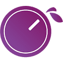 Plum Audio logo
