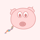 Molpigs (Molecular Programming Podcast)