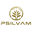 Psilvam logo