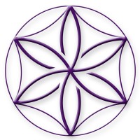 Quick Med Cards Affiliate Program logo