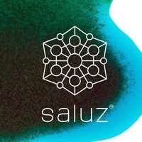 Saluz logo